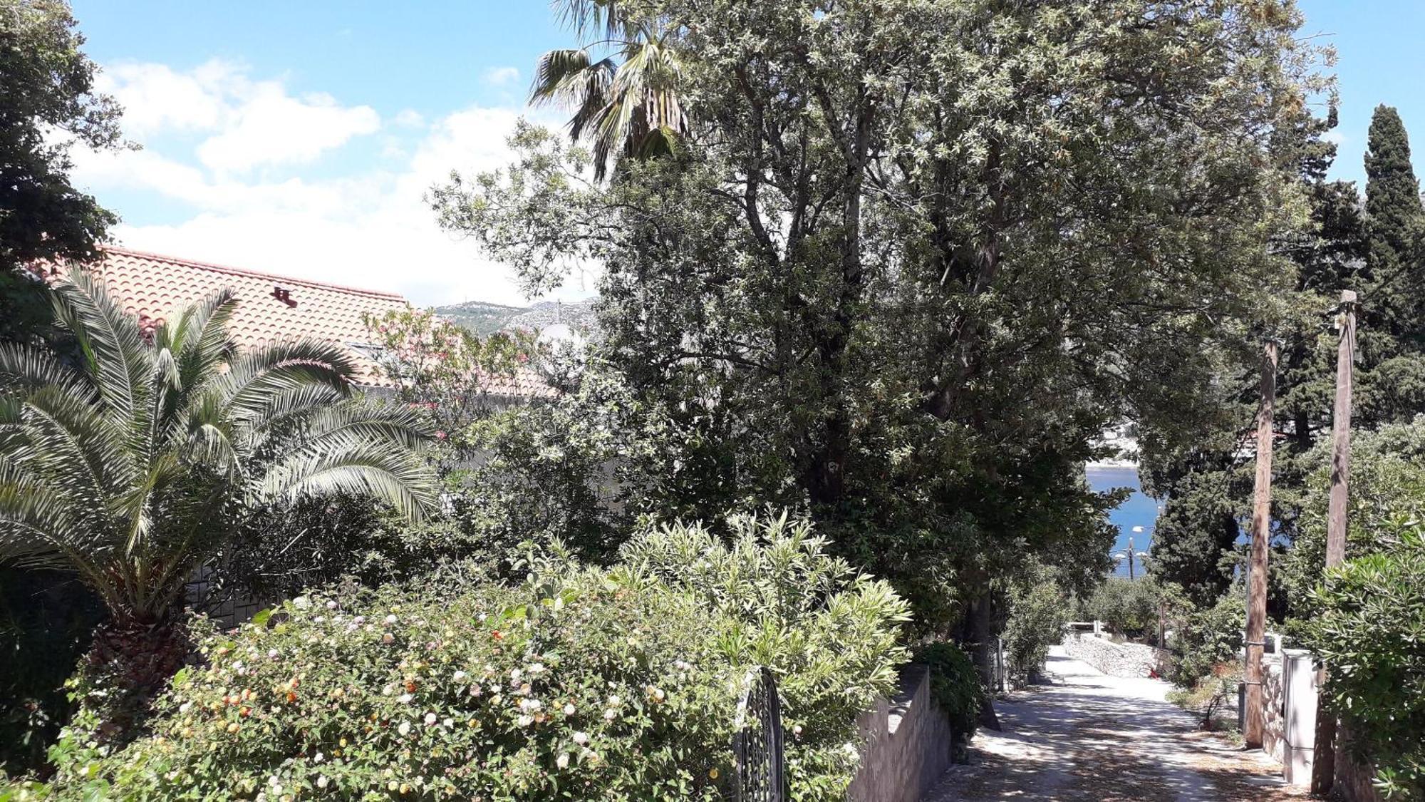Apartments Marija - 50M From Beach Zaton  Zewnętrze zdjęcie
